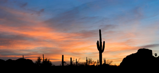 Arizona Sunset